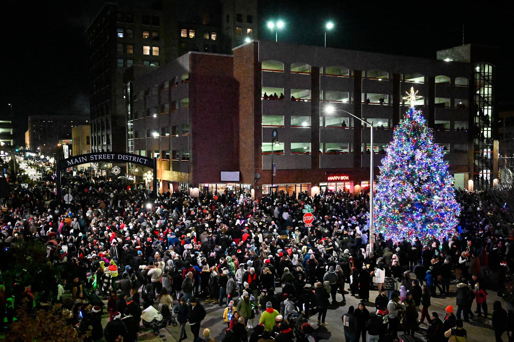 Stroll on State tree